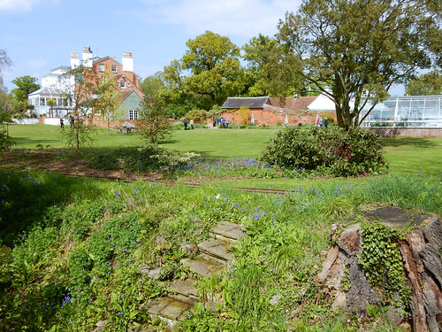 The Lawn & steps down to the sunken boundary at Peacocks garden, Margaretting